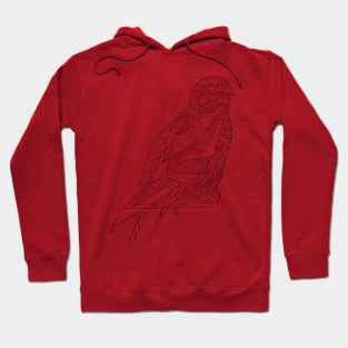 the aztec peregrine falcon boho ecopop Hoodie